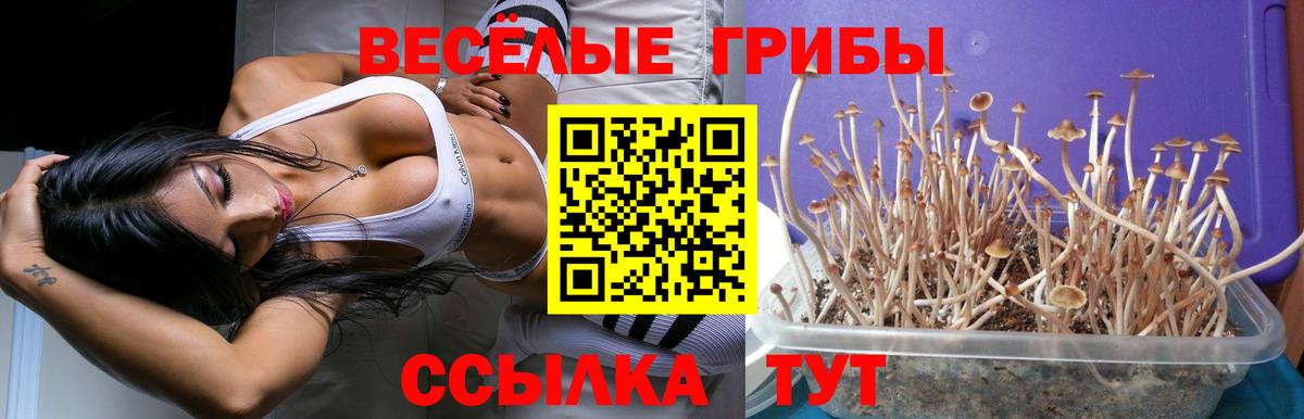 Галлюциногенные грибы MAGIC MUSHROOMS Долгопрудный