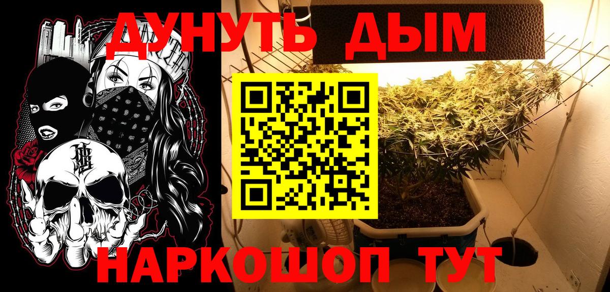 Канабис Bruce Banner  Вход с VPN  МАРИХУАНА Bruce Banner  Марихуана сатива  Долгопрудный 