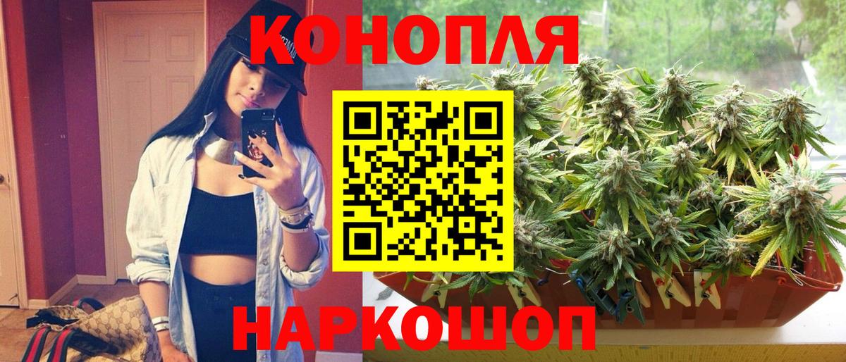 Конопля план Долгопрудный